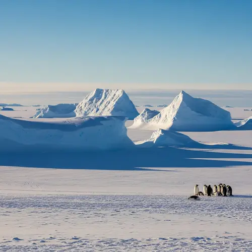 Serenity of Antarctica: Snowy Plains & Emperor Penguins