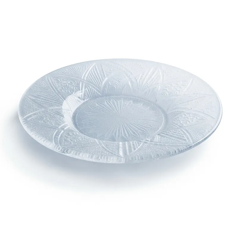 Intricate Ice Plate Photography | Fine Art Macro Shots