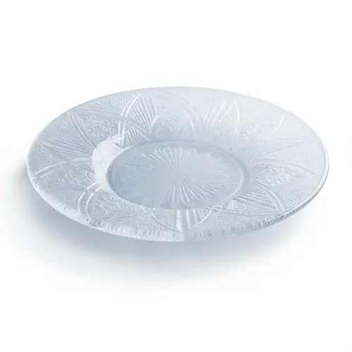 Intricate Ice Plate Photography | Fine Art Macro Shots