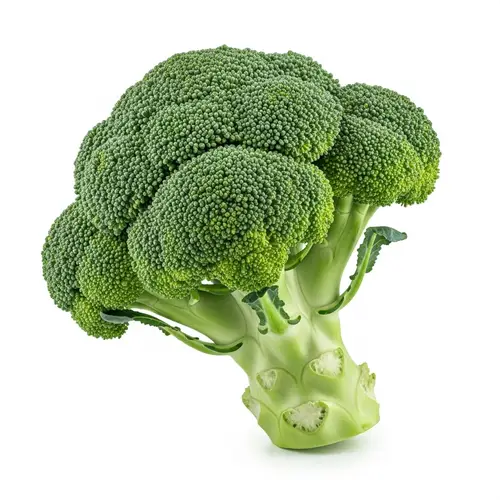 Vivid Emerald Green Broccoli - Fresh and Crisp Vegetable Image