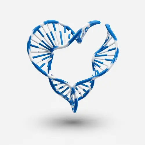 3D Heart Sculpture: DNA Helix Formed Human Heart in Blue & White