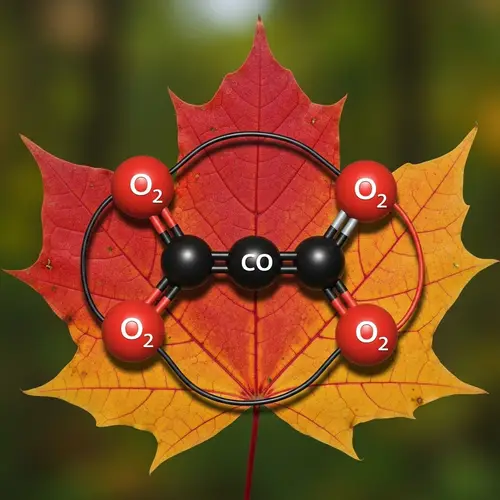 Maple Leaf & Carbon Dioxide: Environmental Protection Design