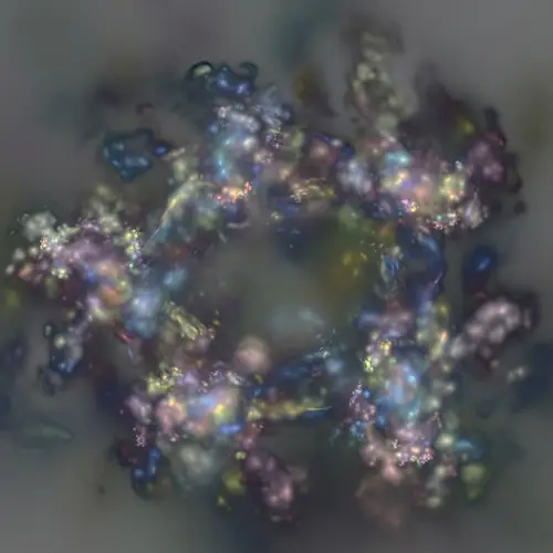 Abstract Confusion: Amorphous Shapes & Colors