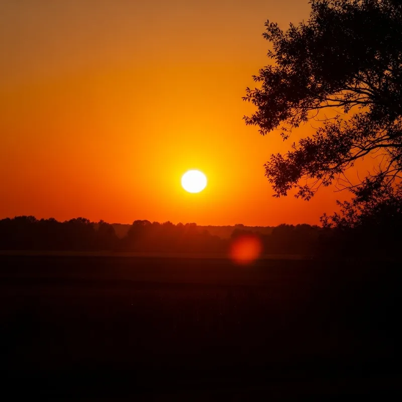Golden Afternoon Sun Icon - Nature's Serene Beauty Golden Afternoon Sun Icon - Nature's Serene Beauty