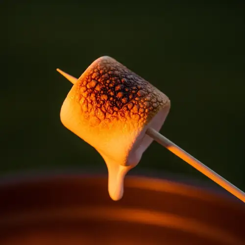 Toasted Marshmallow: Simple Food Delight