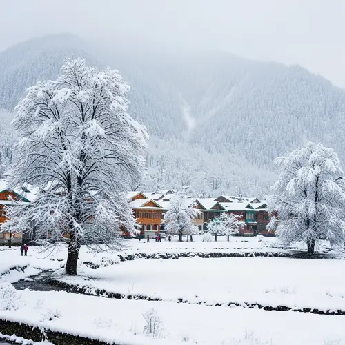Picturesque Winter Scene in Jammu and Kashmir