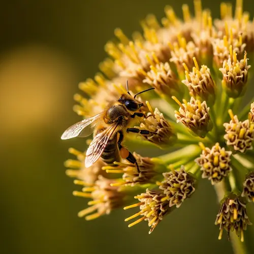Professional Macro Photography of  Bee in Rich Natural Surroundings