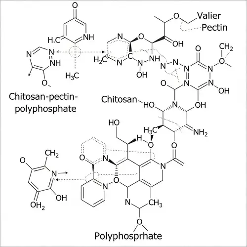 Chitosan-Pectin-Polyphosphate Nanoparticle Structure
