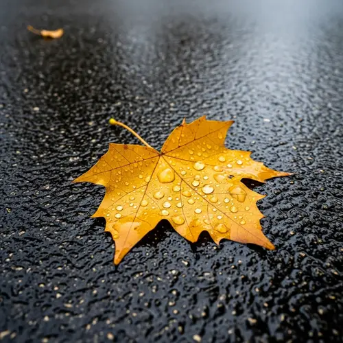 Solitary Golden Leaf - Captivating Nature Image