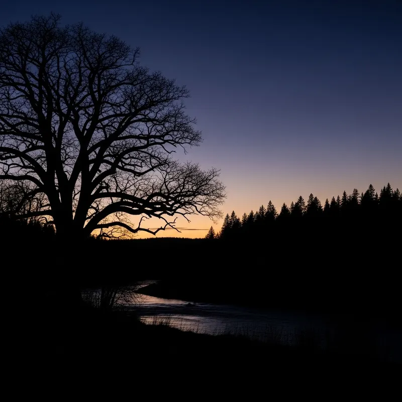 Silhouette Landscape: Tree, River, Sky & Forest Silhouette Landscape: Tree, River, Sky & Forest