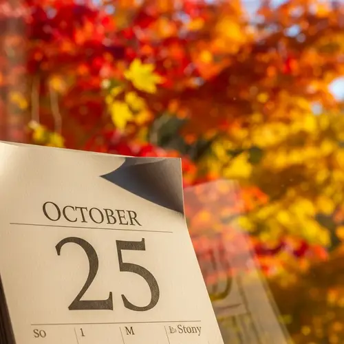 October 25 Calendar with Autumn Foliage Background