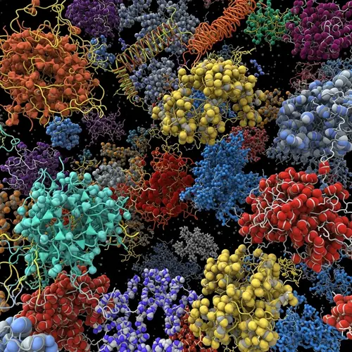 Diverse RNA Molecules: Colors of Life