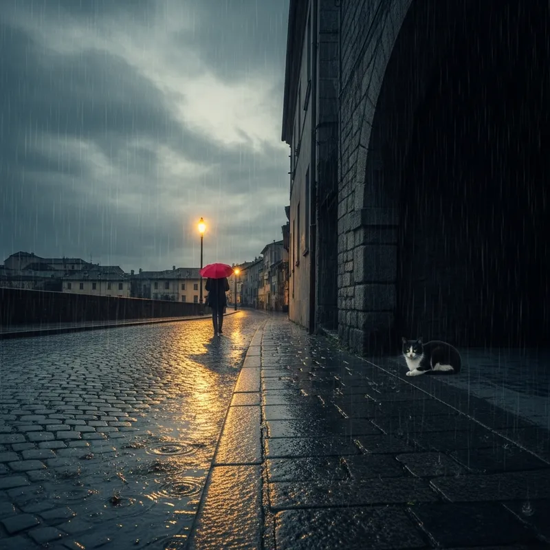 Rainy Day with Lone Figure and Cat