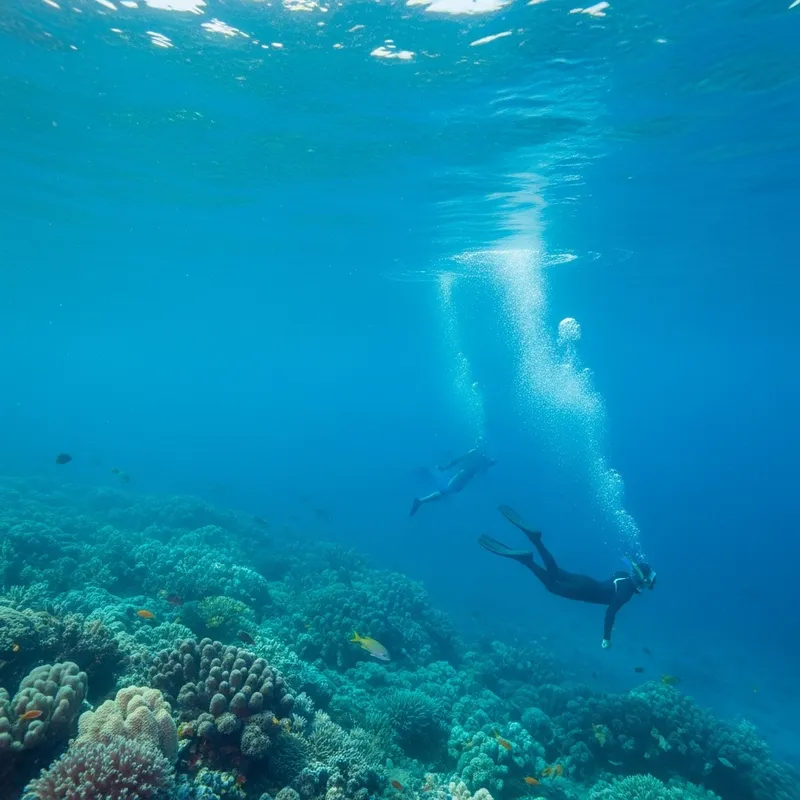 Majestic Depths: Nature's Symphony and Dark Shadows of Ocean