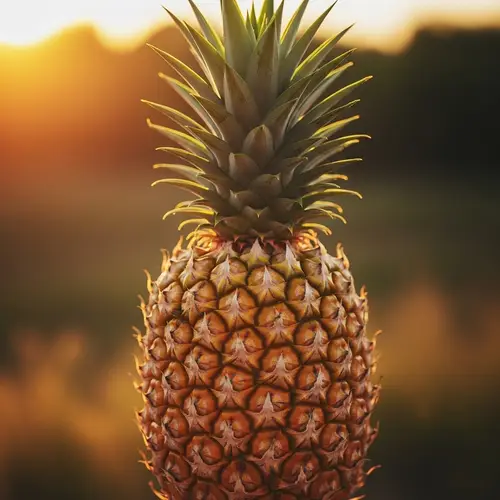 Vibrant Pineapple with Diamond Patterns | Tropical Fruit