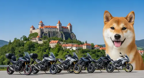 Beautiful Shiba Inu Dog with Slovakian Landscape and Castle