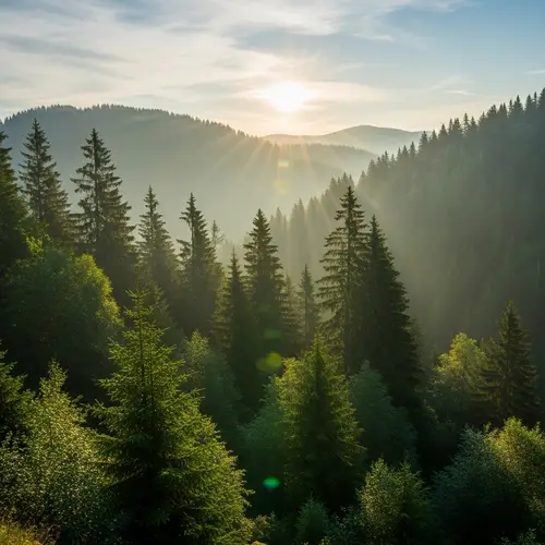 Serene Sunrise in Mountainous Forest - Nature Photography