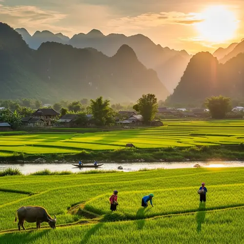 Southern Vietnamese Landscape: Golden Light, Green Fields & Mountains