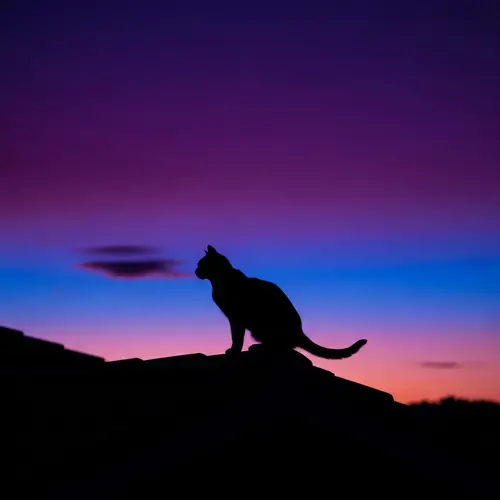 Silhouette of Cat Perched on Roof Against Dusk Sky