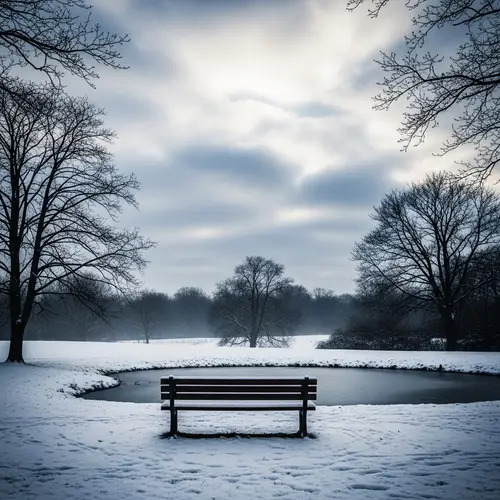 Sad Winter Scene Without You