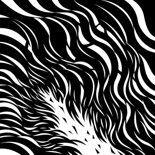 Black and White Geometric Illustration with Wave Patterns