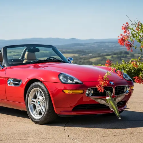 Luxurious Red BMW Convertible and Vibrant Hummingbird