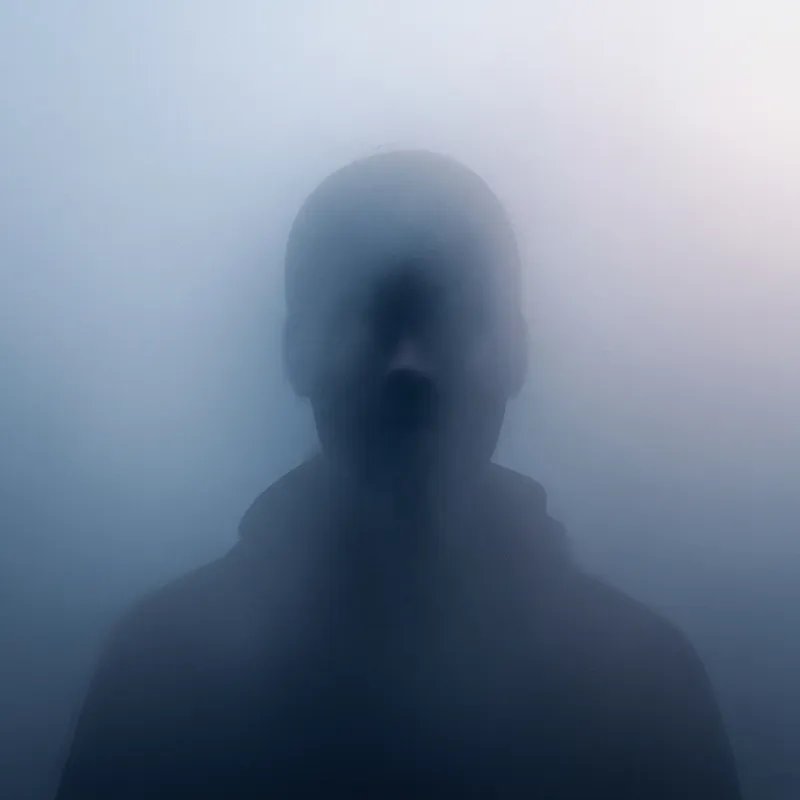 Enigmatic Silhouette in Mist: Solitude & Enigma