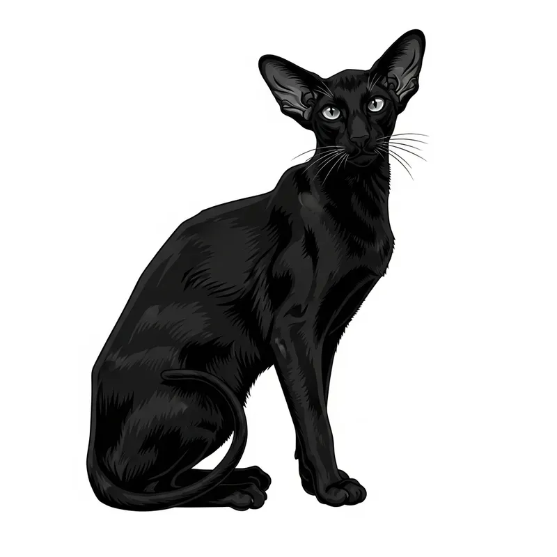 Stunning Oriental Cat in Black: Elegant Vector Artwork
