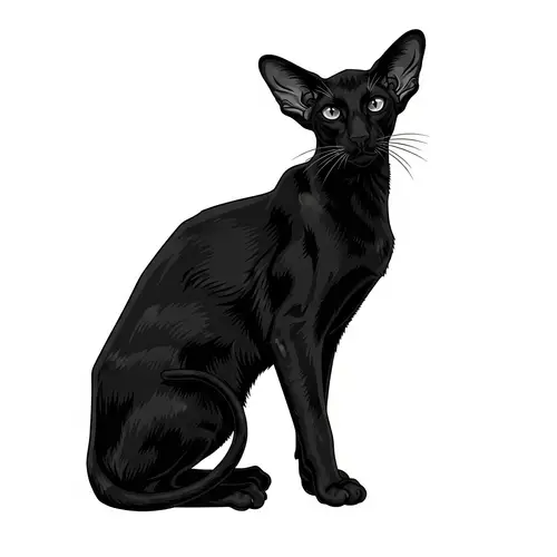 Unique Oriental Cat Digital Art: Sleek Monochromatic Vector Drawing