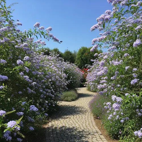 Tranquil Garden Oasis: Duranta Plants in Full Bloom