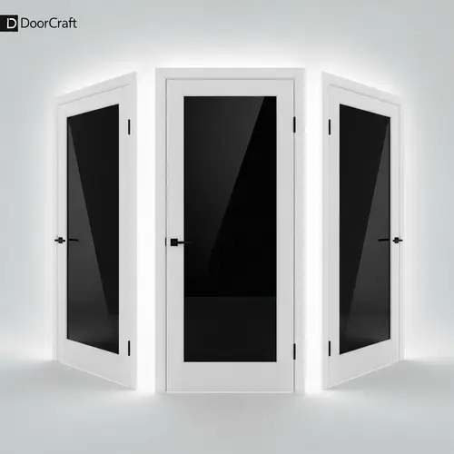 Modern White Indoor Doors with Black Glass