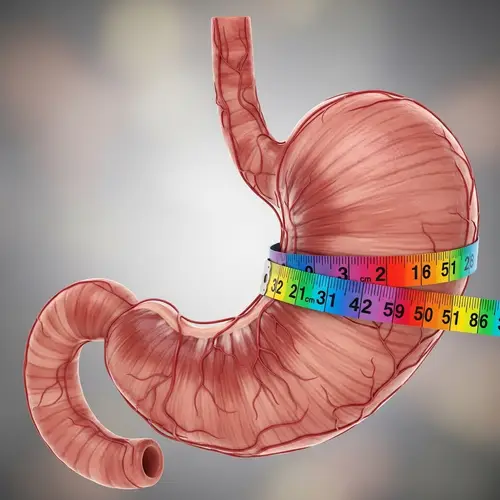 Realistic Stomach Organ with Measuring Tape - Anatomy Illustration