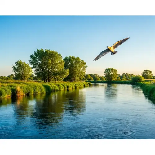 Tranquil Bird Flying Over Meandering River | Golden Twilight Scene