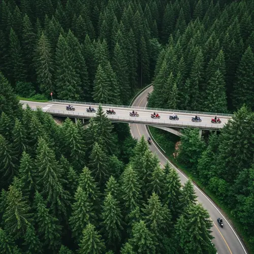 Aerial View: Vibrant Forest & Motorcyclists on Bridge
