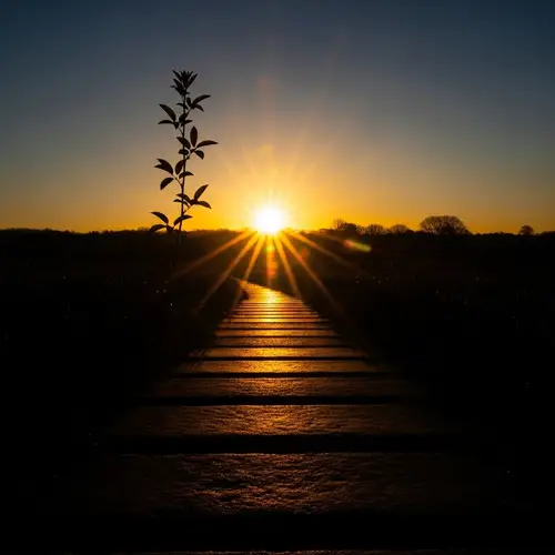 Abstract Visualization of Optimism: Sunrise bringing Light