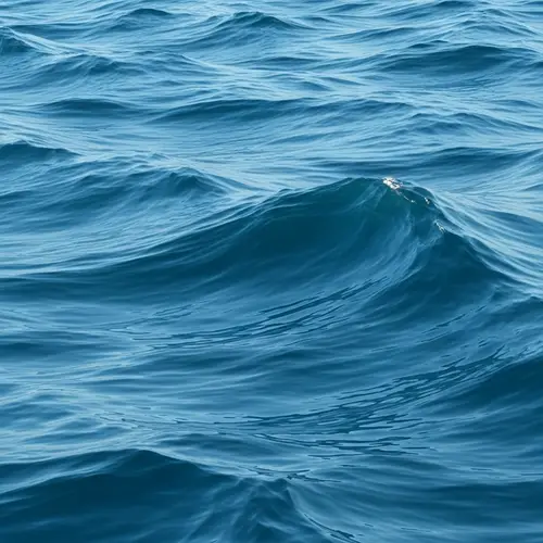 Abstract Ocean Waves: Calming & Serene Artwork