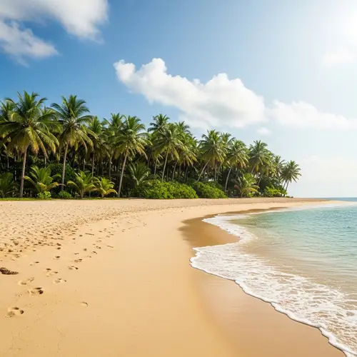 Tranquil Island Beach with Golden Sand and Lush Palm Forest