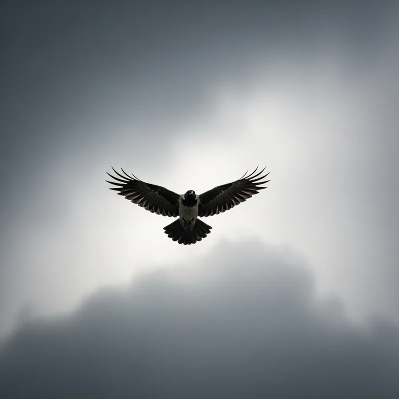 Crow Soaring in Gray Sky