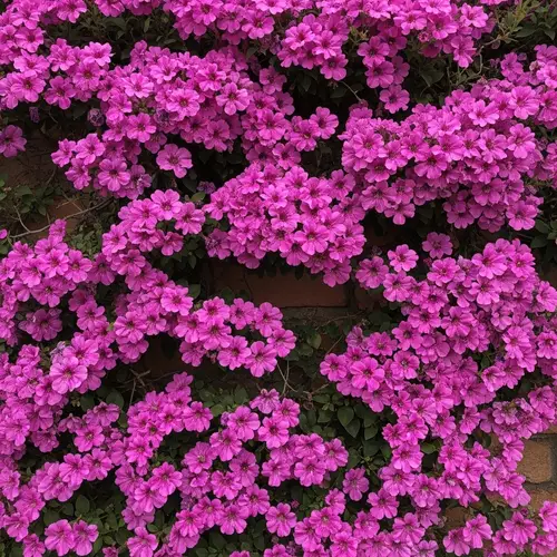 Purple Pink Flowers Wall - Enchanting Bloom