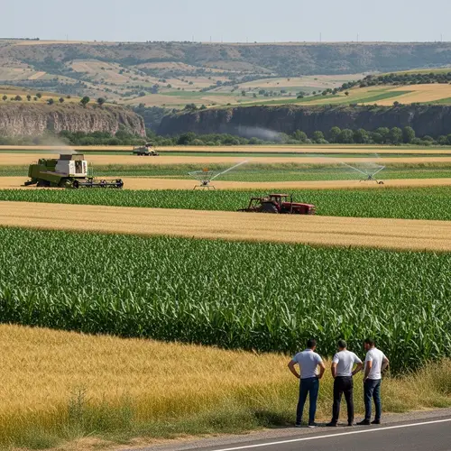 Vibrant Field with Corn, Barley, Peas, Beans, and Spelt | Agriculture Scene