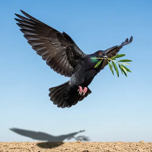 Noire Colombe: A Symbol of Peace in Flight