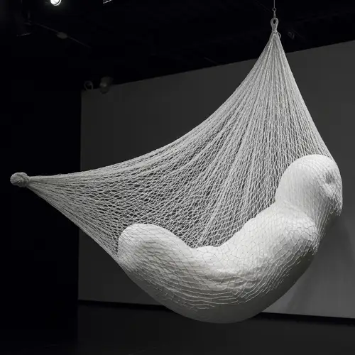 Translucent Silk Cocoon: A Unique Hammock Experience