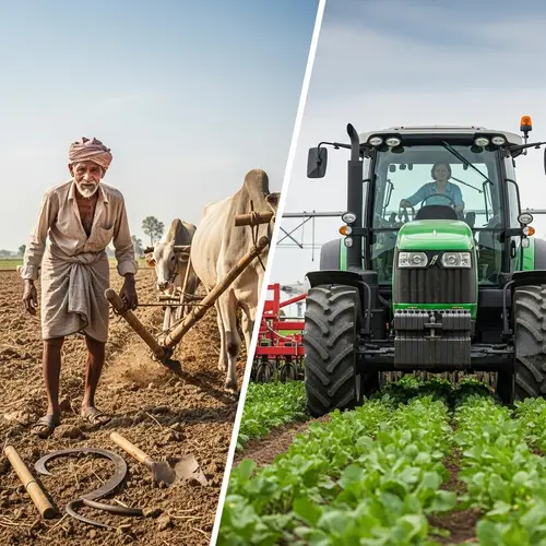 Agricultural Infrastructure Evolution: Past vs. Present