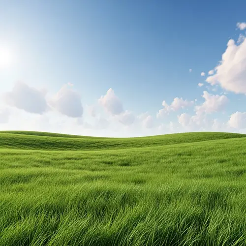 Dream Building Landscape for Architects