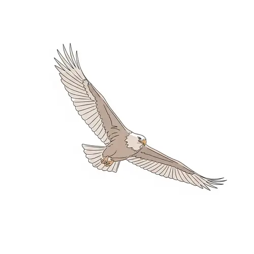 Graceful Eagle Soaring Through the Sky - Minimalist Digital Painting