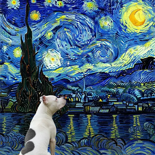 Pitbull Dog Contemplates Van Gogh's Starry Night Sky