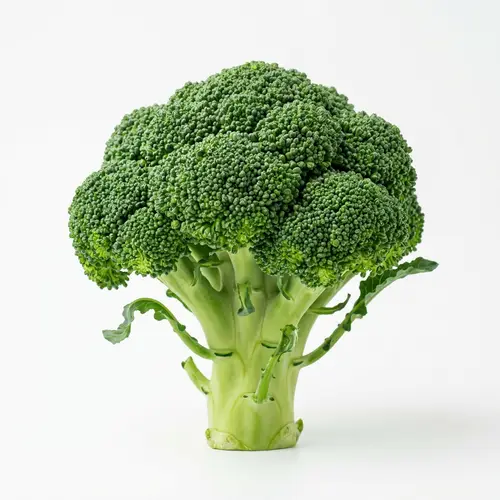 Fresh Green Broccoli: Vibrant & Textured