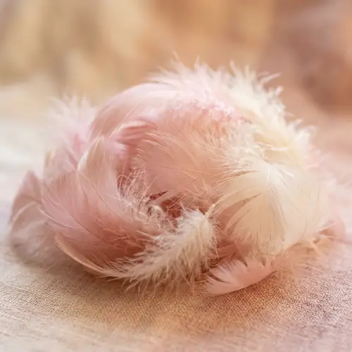 Tenderness Personified: Soft Feathers Close-up