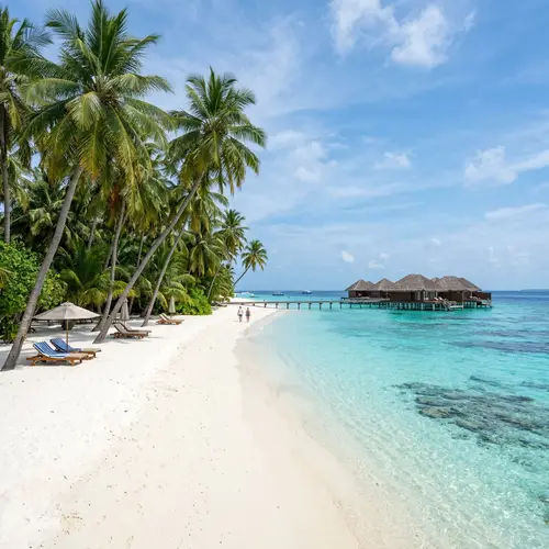 Stunning Beach in Maldives with White Sand and Palms