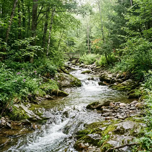 Cool and Pleasant Stream Flowing